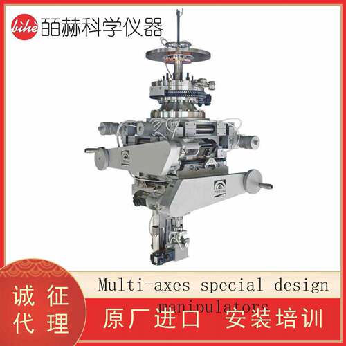 波兰 Multi-axes special design manipulators