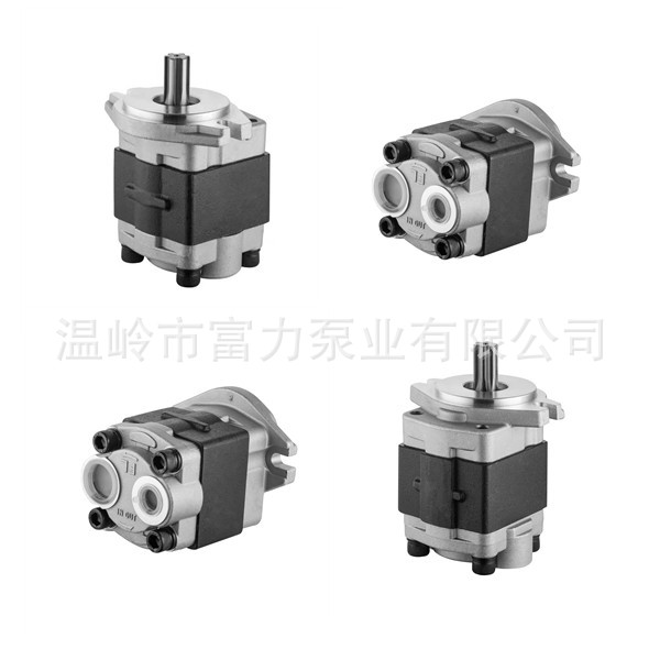 FCBN02-021A-000W 叉车 农机泵 齿轮泵  液压泵