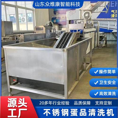 定制蛋类清洗流水线松花蛋清洗去泥专用设备超市食堂用快速洗蛋机
