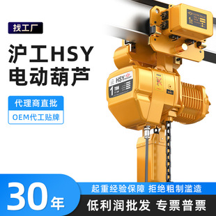 沪工环链电动葫芦5T3T2T3M6M固定式 起重葫芦380V鬼头提升机可定制
