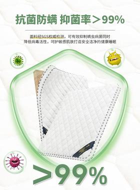 硬垫子用卧室儿童GRJ榻榻米垫折叠软席梦思出租床房家X20