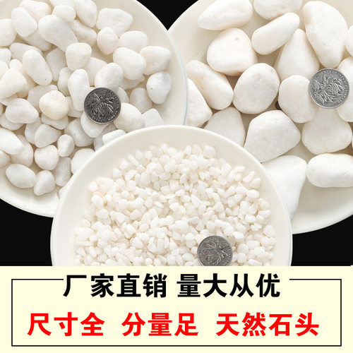 小白石子白色鹅卵石 日式园林枯山水砾石  庭院造景雪花白砂白沙