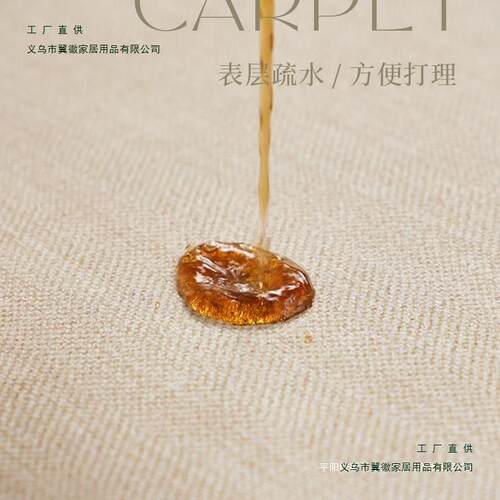 洗油风奶不规则地毯客厅202F886656H6新地款垫免可擦极简风异形沙