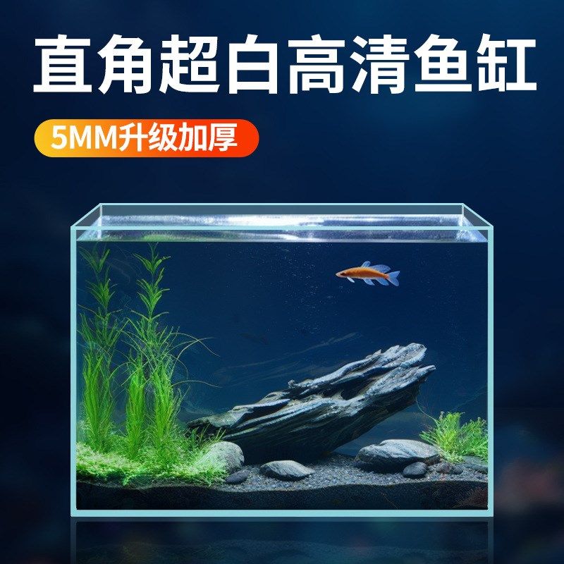金晶五线超白玻璃鱼缸长方形大型小型裸缸客厅造景方80cm草缸龟缸