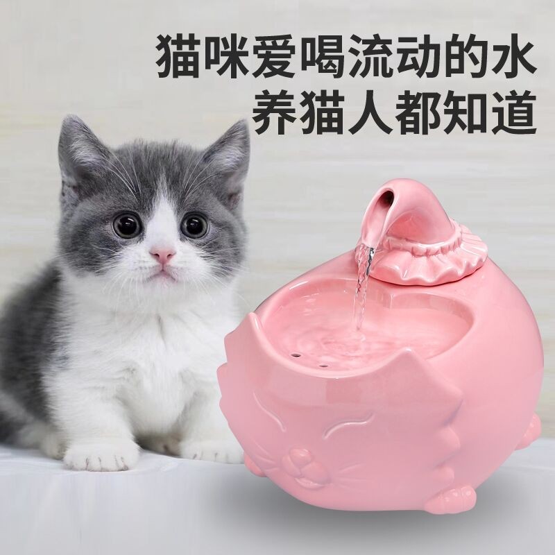 泡泡圆球宠物饮水器喂水款自动循环陶瓷狗猫咪饮水机新款饮水器