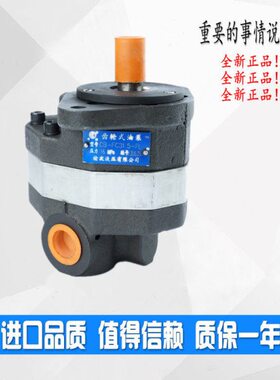 齿轮泵CB-Fc系列 CB-Fc10 CB-Fc16 CB-Fc32 CB-Fc40 CB-Fc50