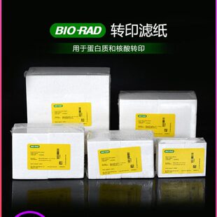 rad电泳转印滤纸WB实验室湿转印转膜半干转印加厚1703932 伯乐bio
