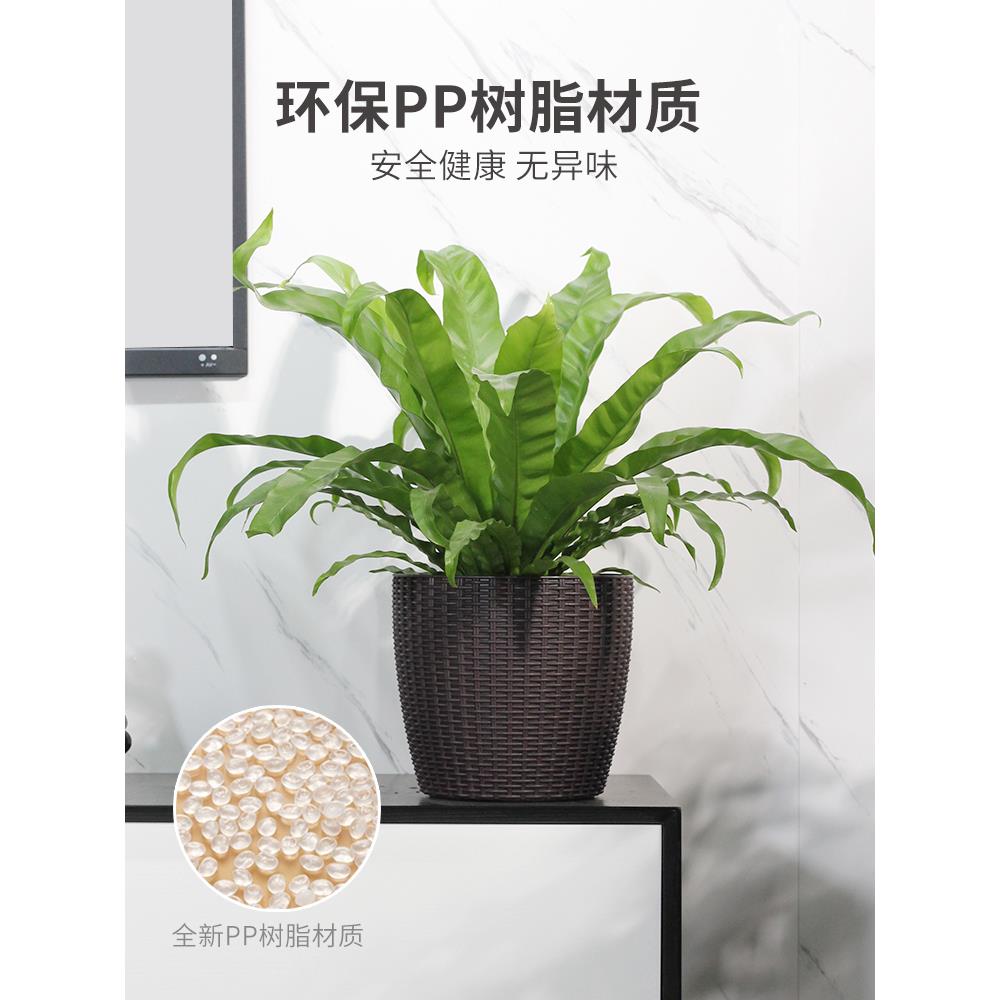 厅自动水储水花盆懒人田园风约塑料仿藤编北欧简家用客阳吸台大号