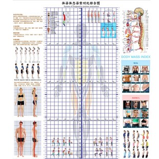 现货体态评估表瑜伽健身私教体位姿势体测表身体评估表免费.加LOG