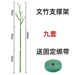 文竹支撑架植物固定防倒伏龟背竹支撑杆绿萝爬藤花架支架园艺造型