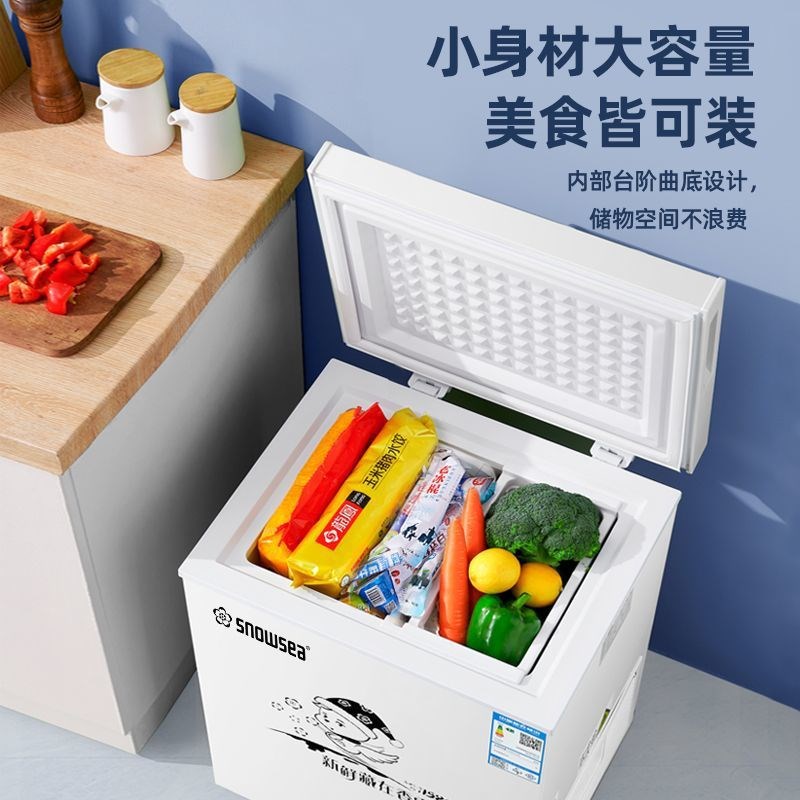 香雪海迷你小冰柜家用小型冷柜冷冻冷藏立式两用出租房宿舍大容量