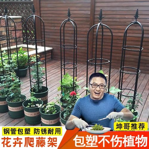 玫瑰花架爬藤架铁线莲支架钢管月季阳台攀爬户外支撑架植物架子杆