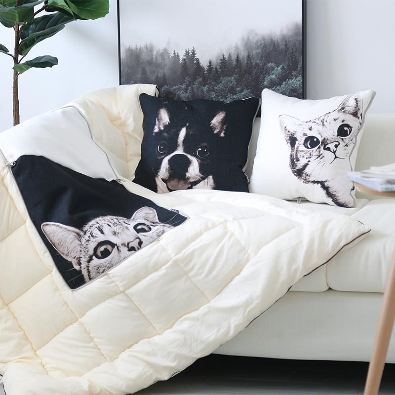 ins猫咪狗抱枕被子两用加厚汽车多功能靠枕被午睡可爱卡通空调被