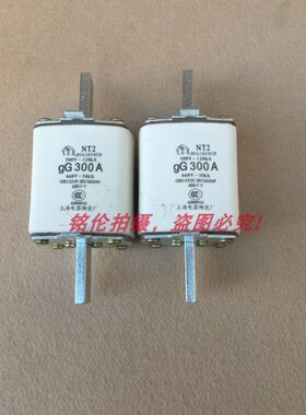 低压熔断器NT2 RT16-2 R033 gL160A 200A 250A 300陶瓷熔断体