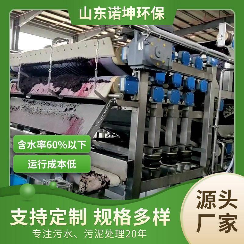 诺坤工业大型杨梅榨汁机酿酒果酒不锈钢压榨机葡萄桑葚挤汁机器