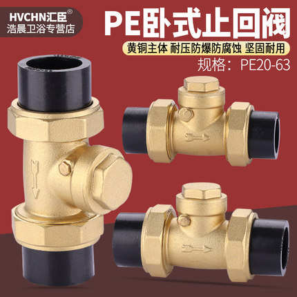 PE止回阀铜卧式双活接单向阀自来水水管热熔逆止阀4分6分DN20/25