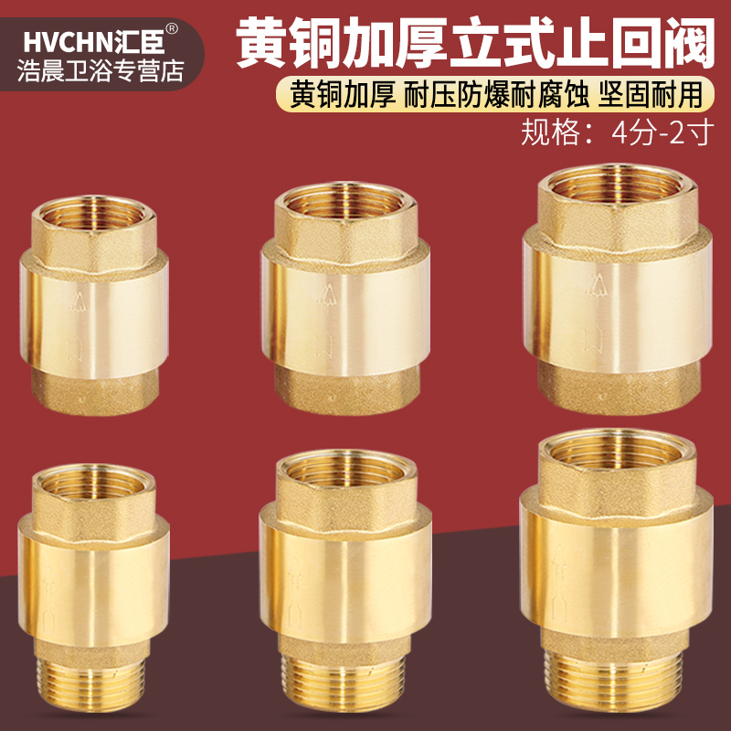 黄铜立式弹簧止回阀4分6分1寸