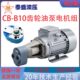 B2.5JZ输油泵 齿轮油泵电机组CB 立卧润滑泵 B10