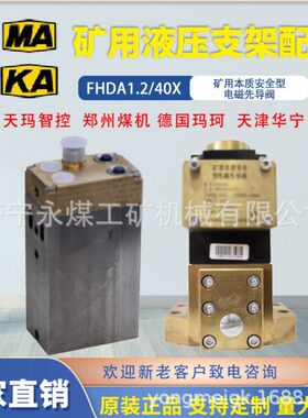 天玛智控FHDA1.2/40X矿用本安型电磁先导阀pm3/val/evv/a德国玛珂