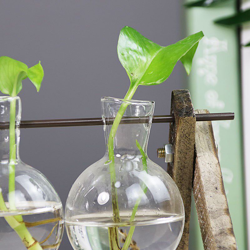 创意水培容器绿萝植物木架客厅透明玻璃桌面摆件装饰品小清新花瓶