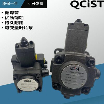 叶片泵VVP20B/70 12B 15B 30B 40/55 35 20秦川机床QCIST变量油泵