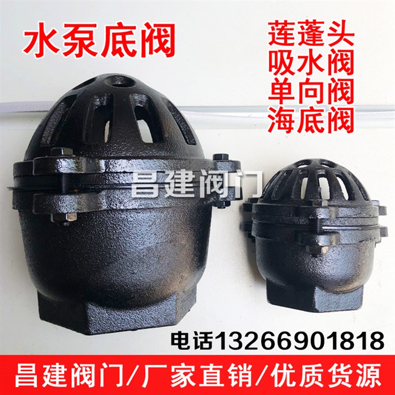 抽水泵底阀 内螺纹丝扣m吸水阀 铸铁止回阀DN25 40 50 65 80 100