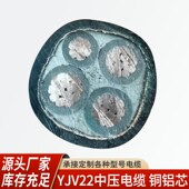 3KV无氧铜芯低压电力电缆3 电缆带铜屏YJV22 1.8