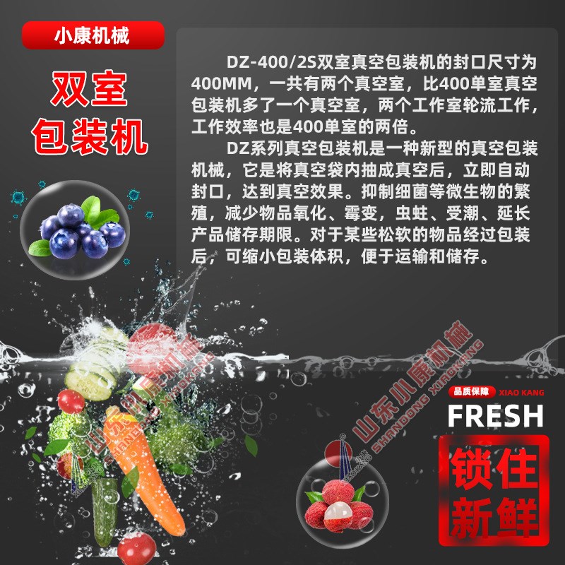 供应400双室小型真空包装机 牛板筋真空封口设备 红豆薏米真空机