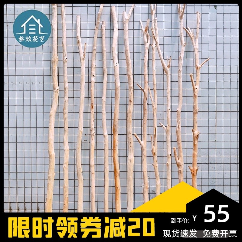 天然干树枝装饰枯木原木树干客厅玄关干枝隔断茶室幼儿园挂衣架