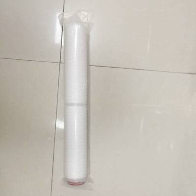 Beer filtration 流体聚合物/涂料/墨汁过滤20寸0.22um微孔膜滤芯