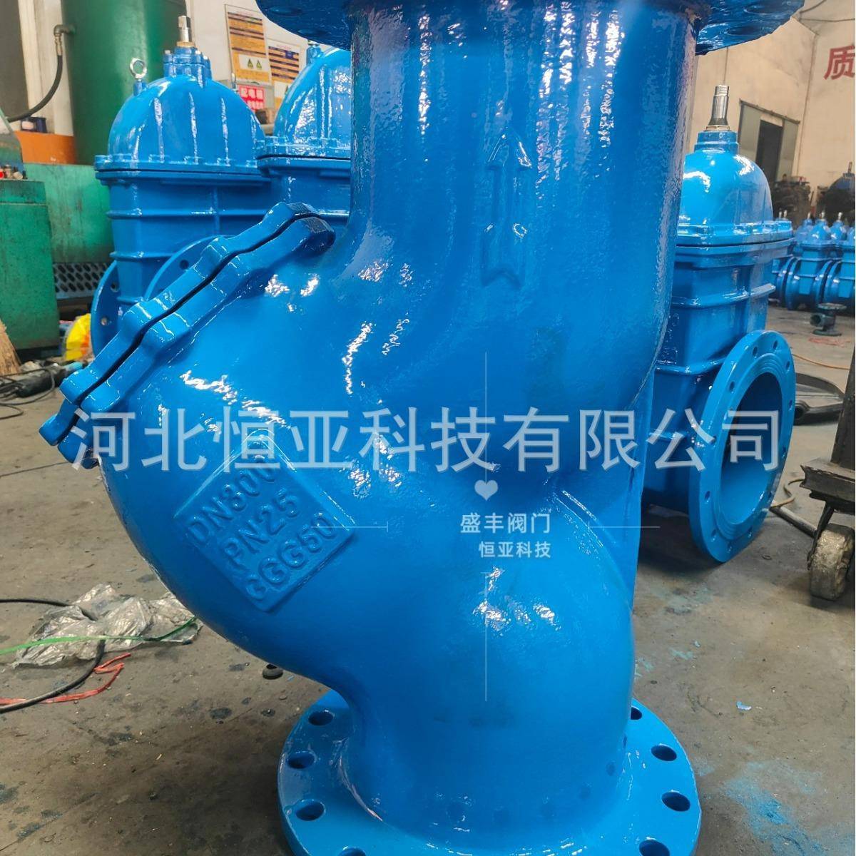 过滤GL41H球磨铸铁过滤器法全通径管器道y型过滤F1兰器