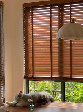 严选添伦实木木百叶帘遮光窗帘书房椴木百叶中古风氛围感百叶窗