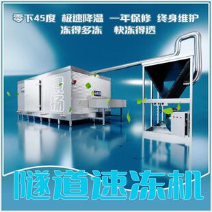 海参鲍鱼隧道式速冻机鸡爪鸡翅快速冷冻设备巴沙鱼单冻机