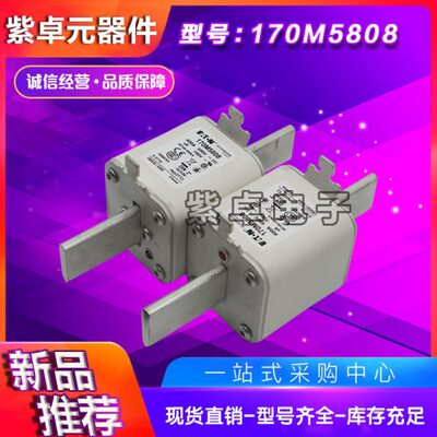 170M5658 170M5659 170M5660 170M5661 170M5662 170M5663熔断器