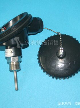 胶木盒子热电阻   WZPK-236  PT100温度传感器   WZPK-238