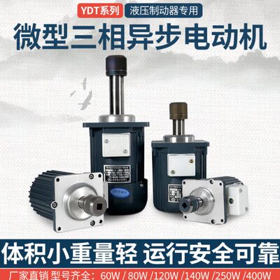 三相异步电机焦作象山南阳南召天力YDT/ASF 60W80W推动器抱闸