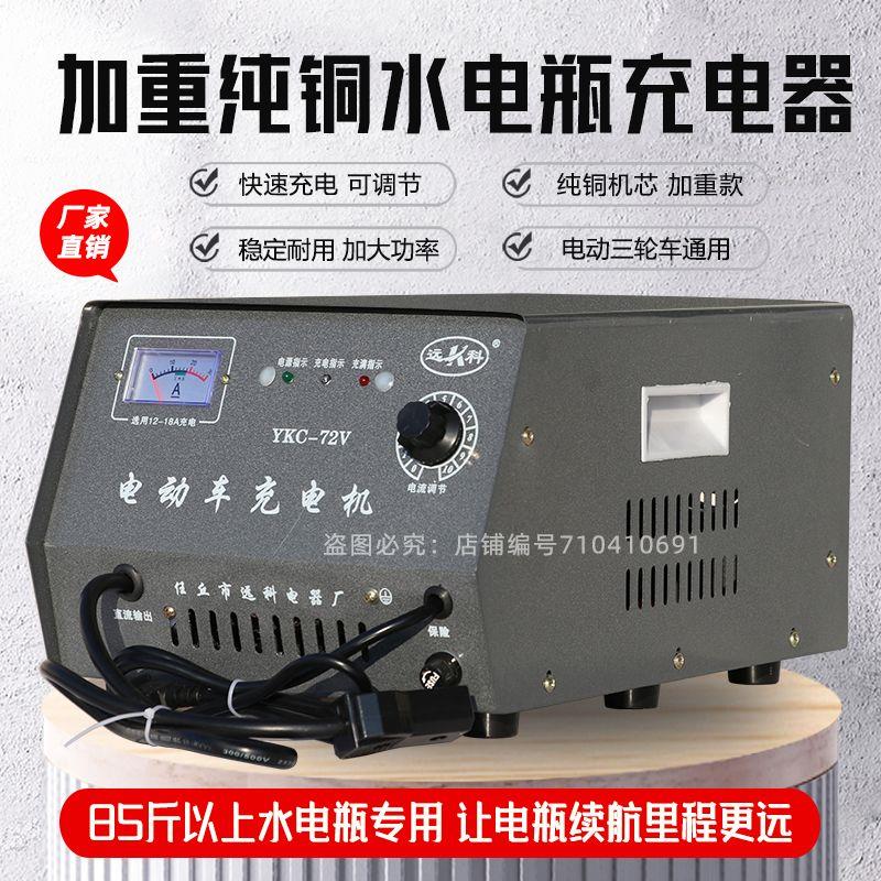 新款加重水电瓶充电器60v