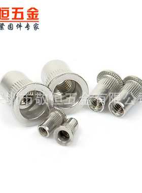 205pcs M3-M10 304不锈钢平头拉铆螺母组合盒装