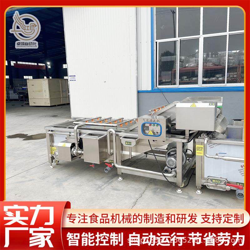 厂家直销多功能葡萄干清洗机大型韭菜清洗设备商用海带扣清洗机
