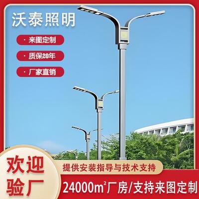 厂家直销6-12米LED路灯双臂路灯小区市政运动场照明路灯杆