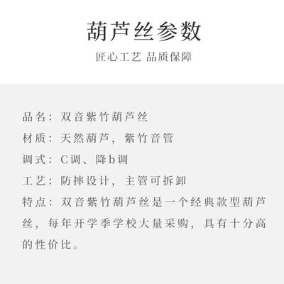 云南紫竹双音葫丝芦入C调降B调成人儿童自学初学门XSM孔七葫芦器
