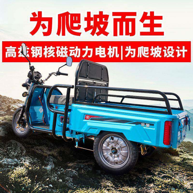 FQX电动小三轮车用小家型年代步三轮车型1.1米老接送孩子拉货车