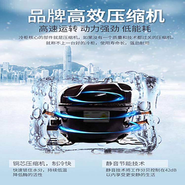 冷藏柜保柜示立式饮料柜商用单门家柜用363冰展柜商用冷柜水鲜柜