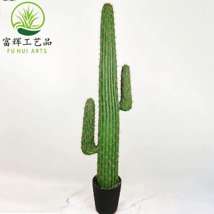 仙人掌龙件凤仙人柱花假居盆栽花套装组合026家装饰道具摆绿植