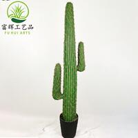仙人掌龙件凤仙人柱花假居盆栽花套装组合026家装饰道具摆绿植