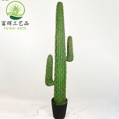 仙人掌龙件凤仙人柱花假居盆栽花套装组合026家装饰道具摆绿植