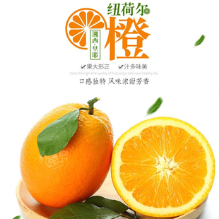 【里耶脐橙现摘现发】正宗湘西里耶纽荷尔脐橙现摘现发甘甜多汁