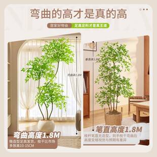 仿真南天竹仿真树植物假盆栽室内客厅落地盆景饰摆件仿真绿植