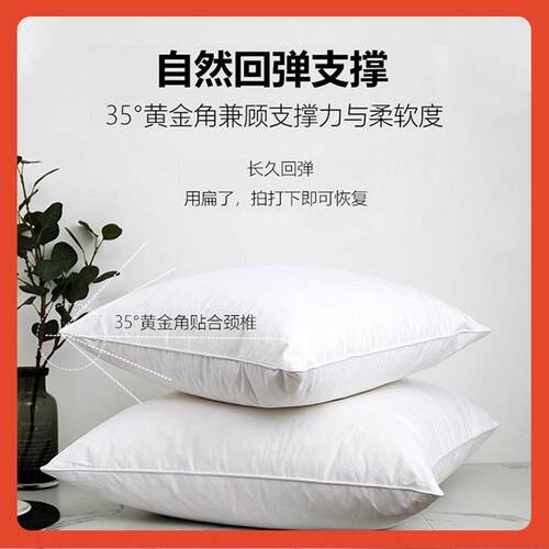 ?鹅毛羽绒抱枕芯Fh(h(&aq内胆45x550方枕形羽毛店靠芯酒沙发腰靠4