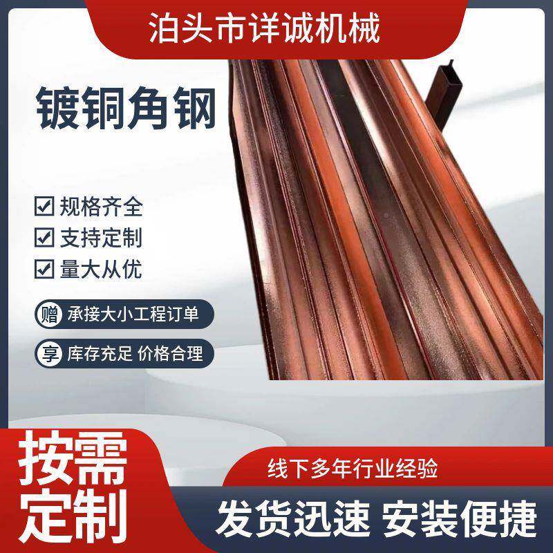 镀料铜角铁铜覆钢垂直角接地体镀铜角铁防雷50*50*5接地材铜包钢